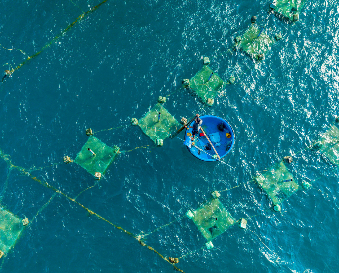 sustainable fisheries benefits image